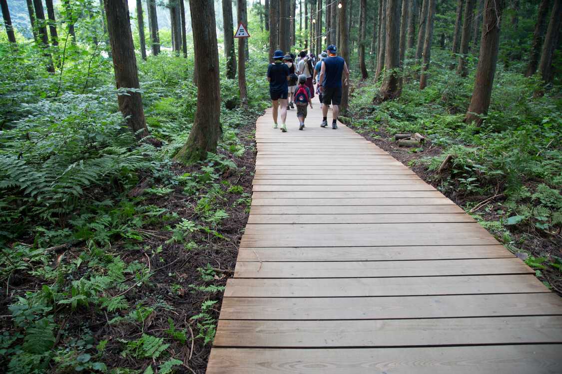 一挙に更新されたボードウォークの板。