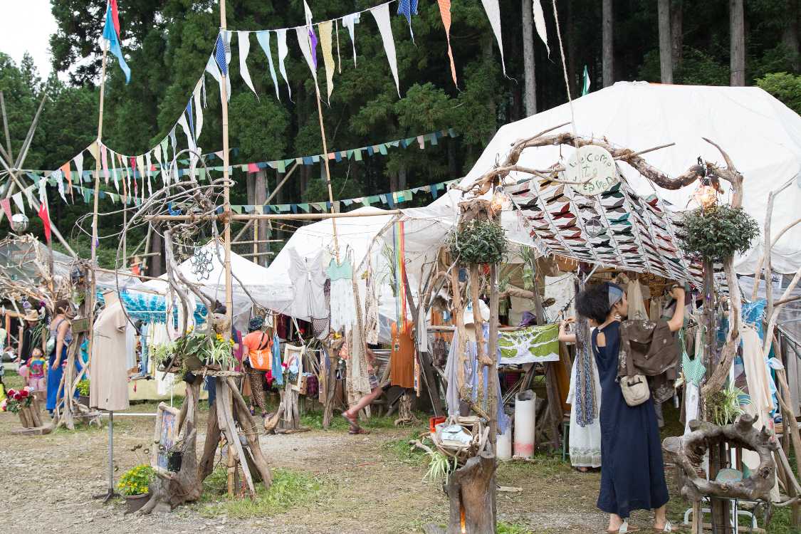 長年同じ場所に同じように設営しているためか、地面の草の緑が固定している。
