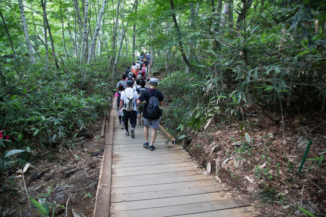 ボードウォークのみどり橋近辺。