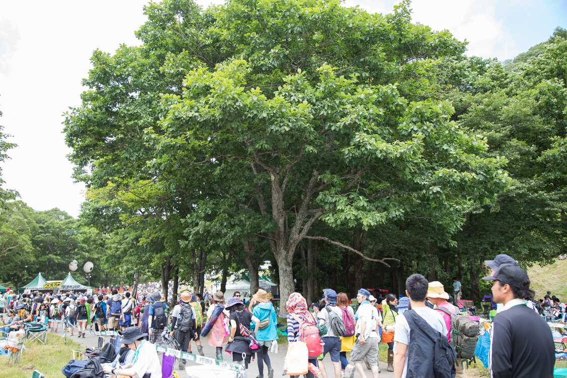 グリーンステージ導線の北側。