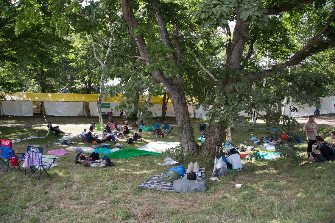 インフォメーション裏の木陰。