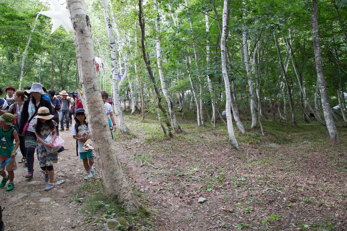 刈り込まれた沿道。これほど刈り込んでいるのも今年が初めて。