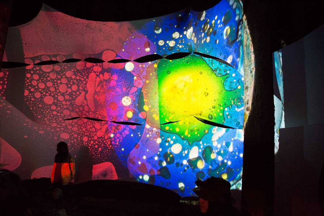 木道亭のステージに幕を張ってスクリーンにしています。