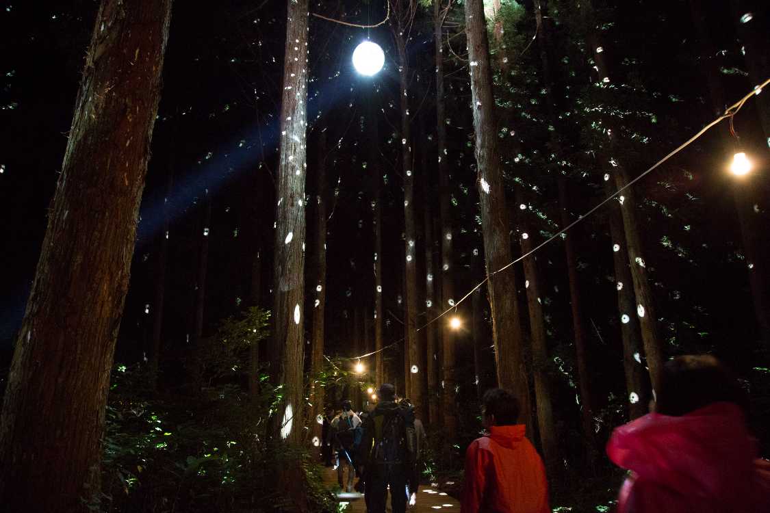 森の中のミラーボール。