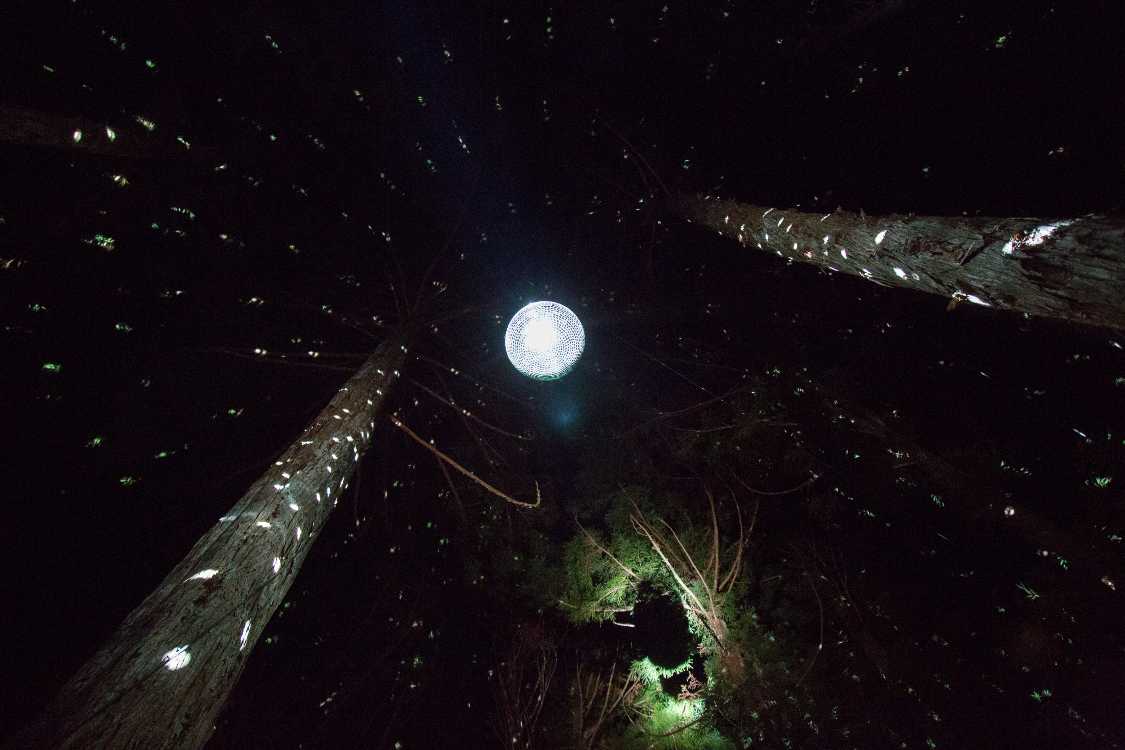 ミラーボールがたくさんある年もありますが今年は少ない。