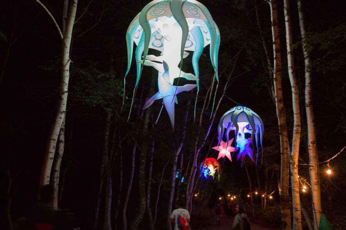 夜の導線。クラゲと星だけが浮かび上がります。