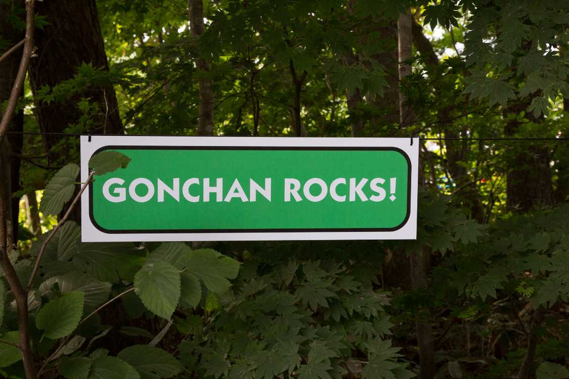 ここから写真パネルが始まります。