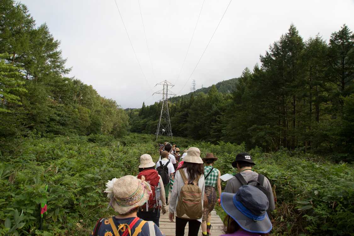 途中まで視界が開けています。