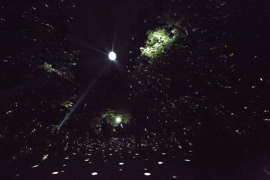 アバロンフィールドとフィールド・オブ・ヘブンの間の導線。