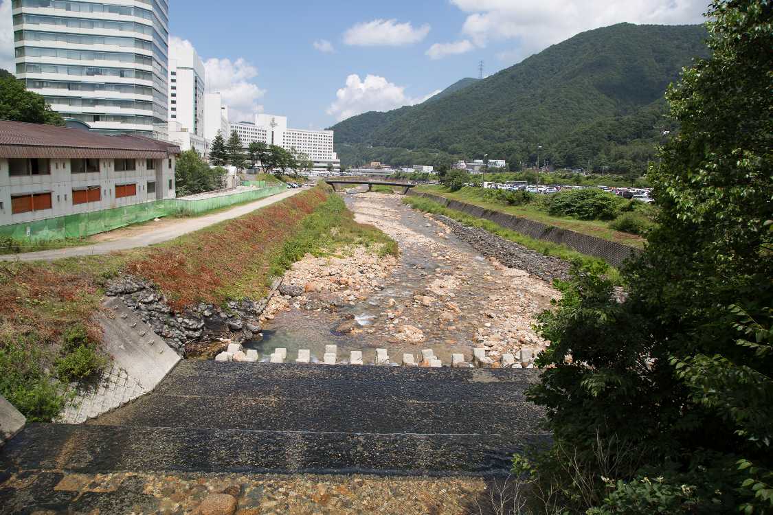 下流側は護岸工事されています。