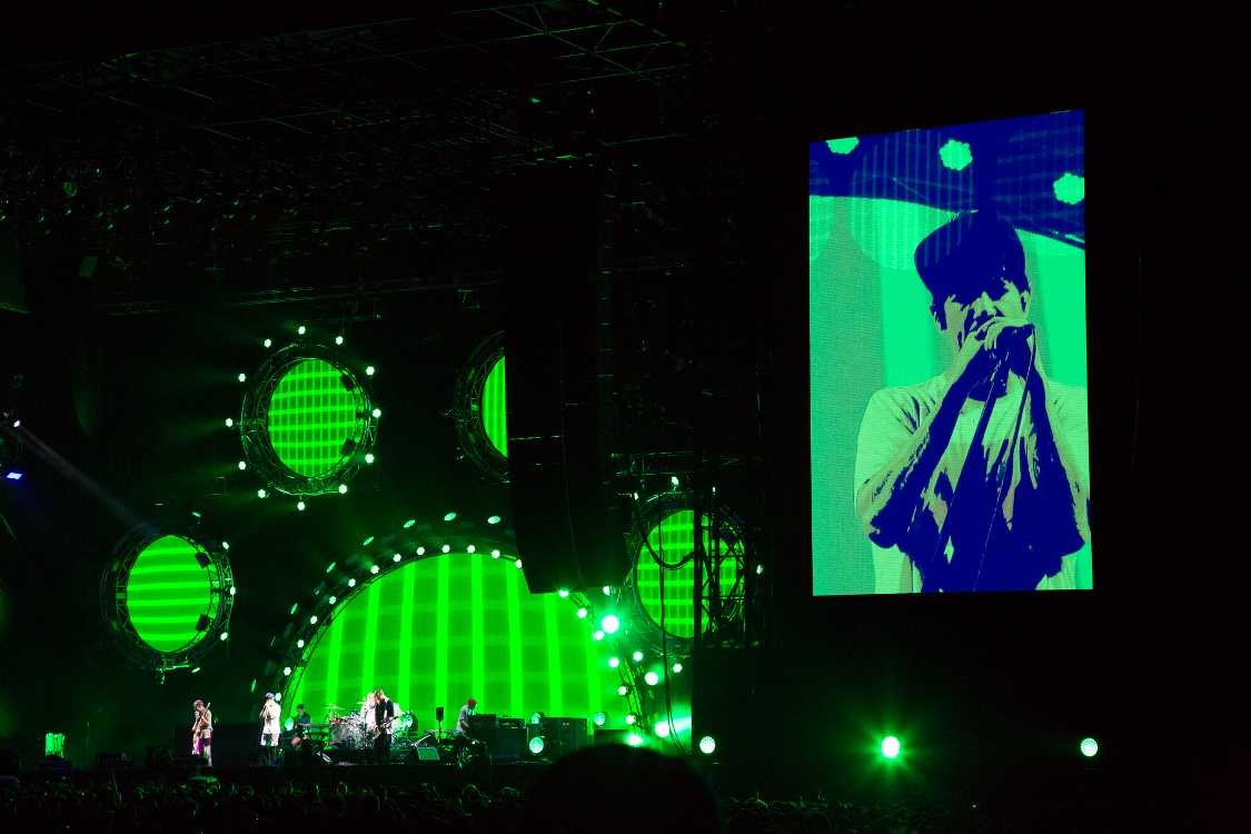 背景は肉球かと思いました。