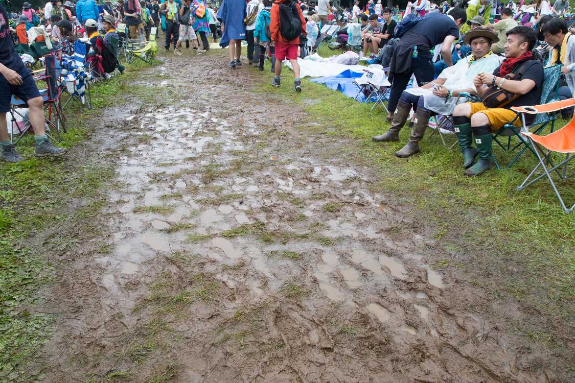 グリーンステージ。