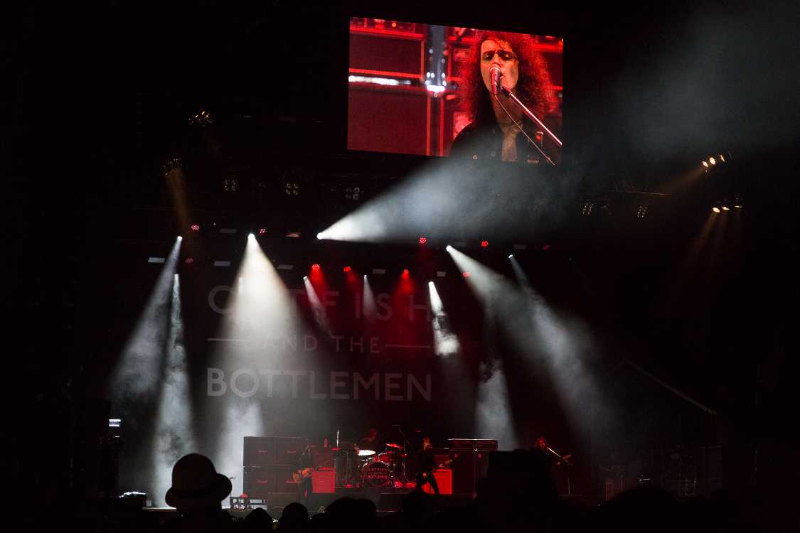 キャットフィッシュ・アンド・ザ・ボトルメン。