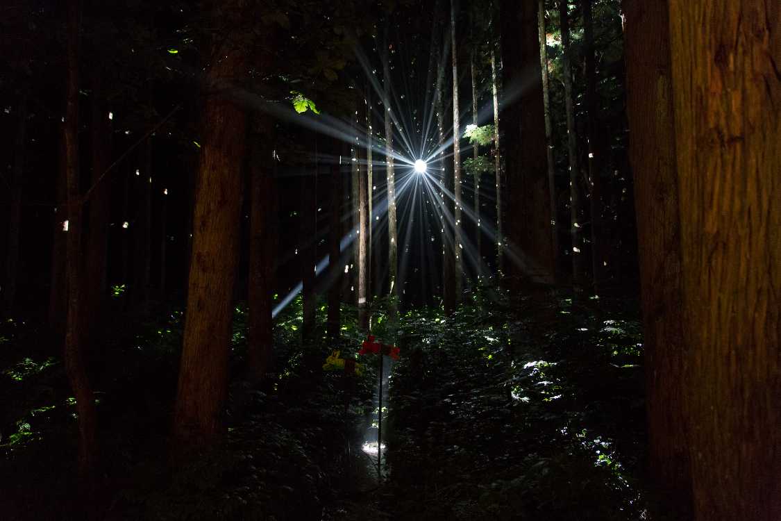 ボードウォークを通過してオールナイトフジへ。ボードウォーク途中のミラーボール。