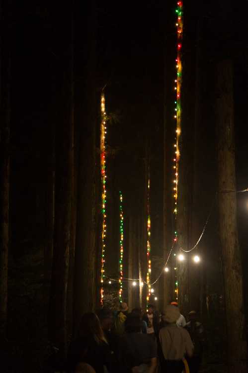 ボードウォーク、オレンジカフェ出口付近の電飾。