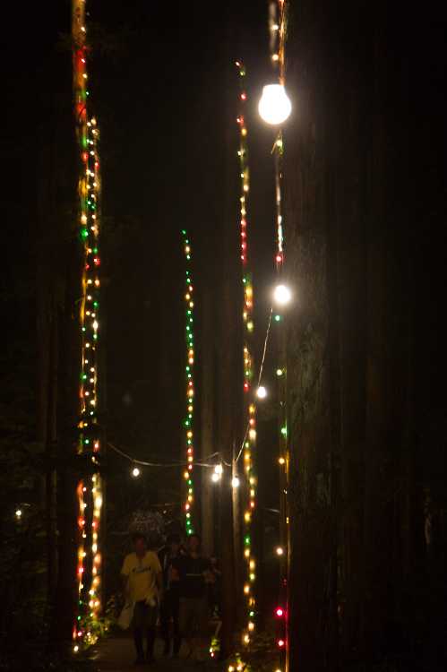 数年前に比べると、電飾は控えめになりました。