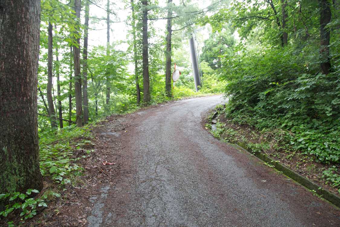 緩いカーブの二つ目。