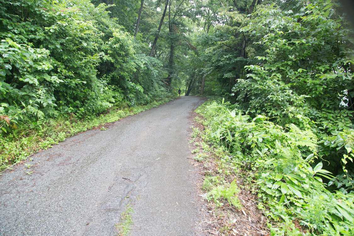 途中までは明るい。