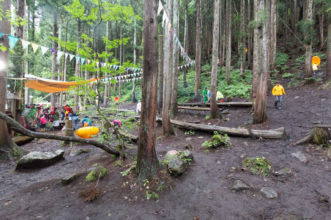 草を刈って斜面を整地。