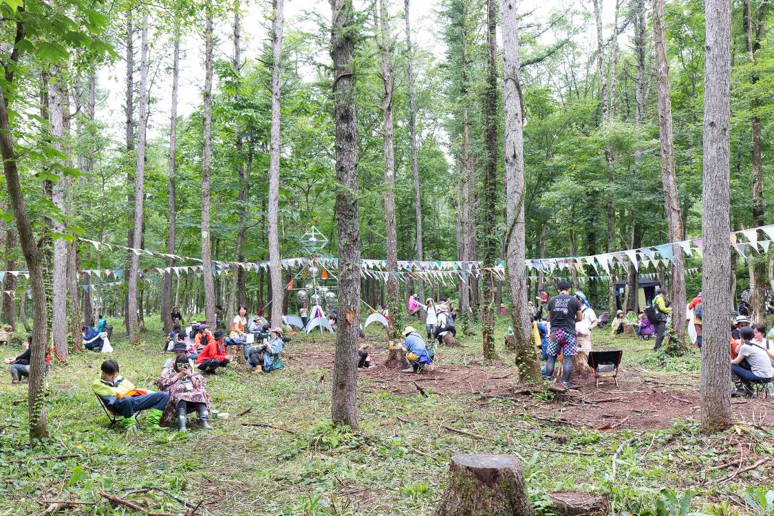 数年前に草が刈られ、整地されて休憩所のようになりました。以前は人が入れない林でした。