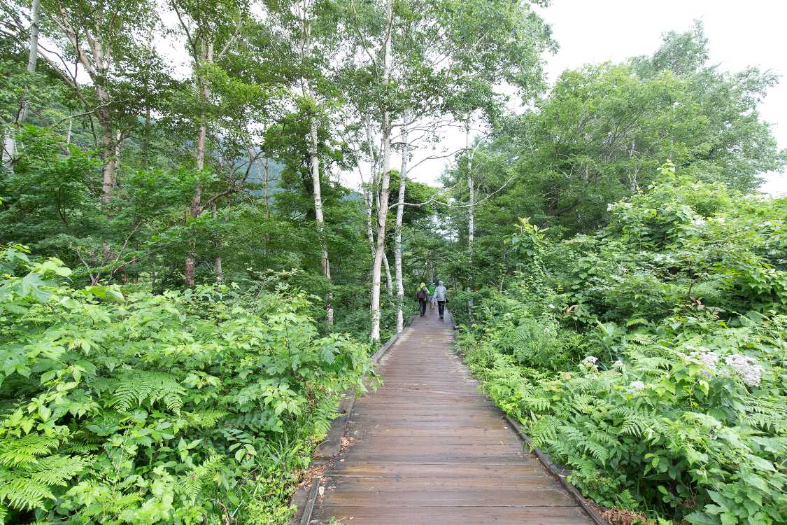 通常の通路と反対側を川沿いに歩きます。