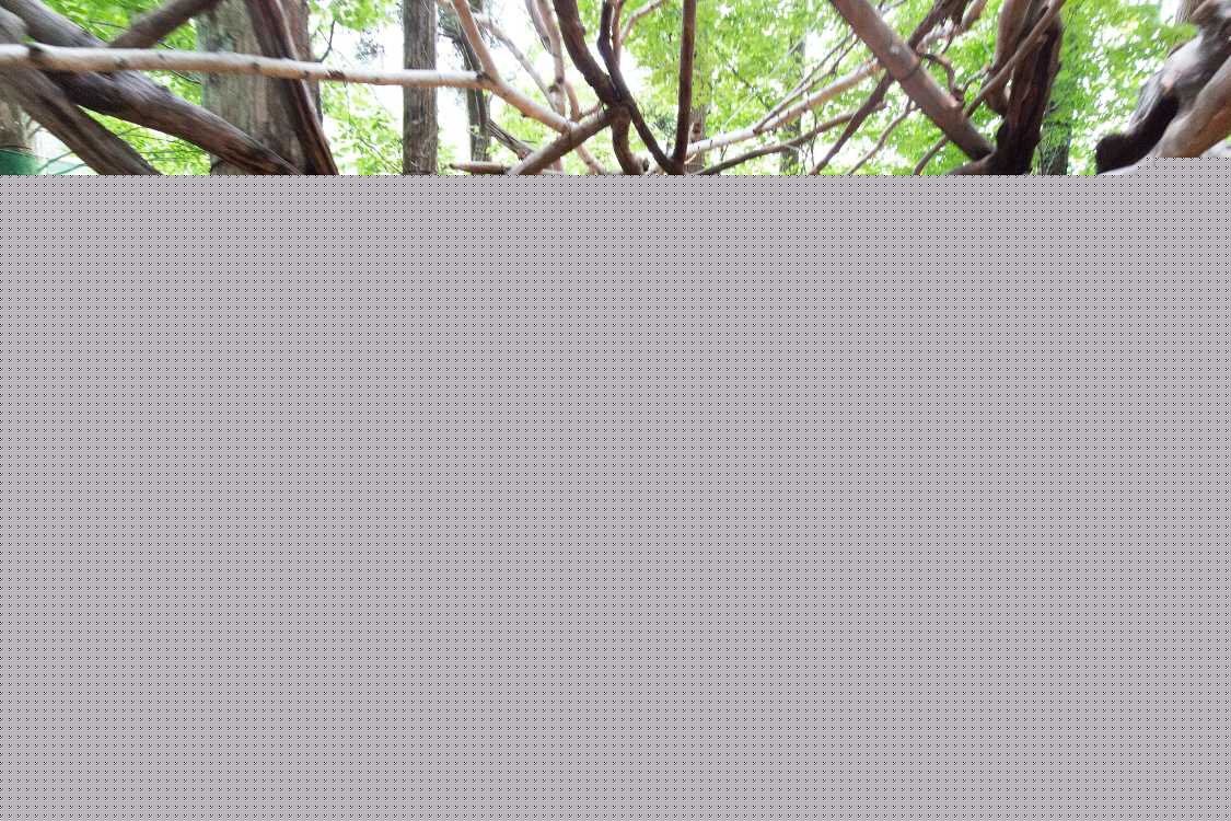 フィールド・オブ・ヘブンへのトンネル。