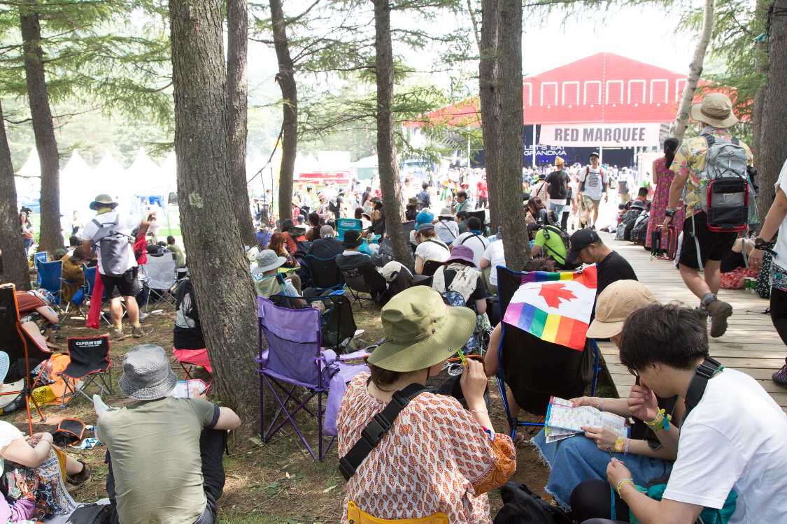 後方の木陰から。