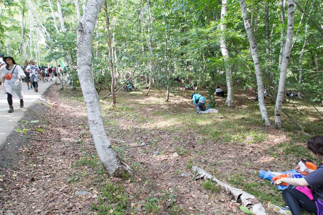 道の脇も木と草が刈り込まれました。