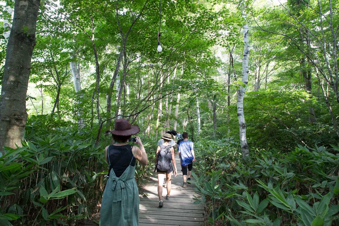 途中から森に入ります。