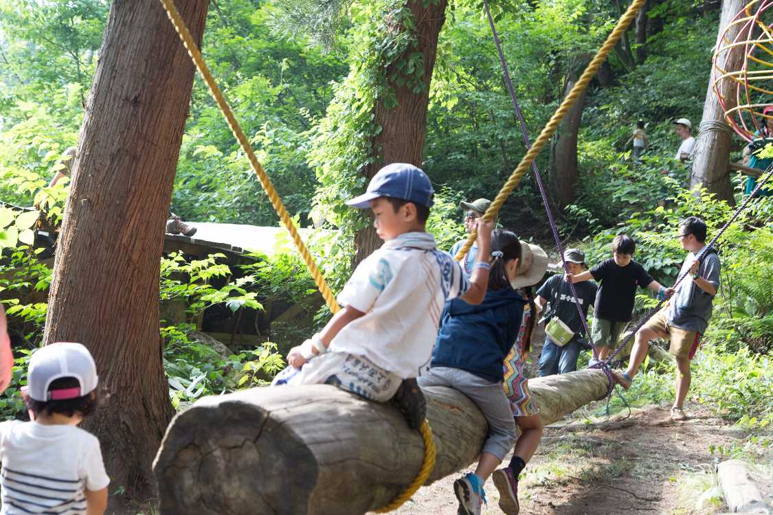 遊動木。国内の公園ではほとんど撤去されています。