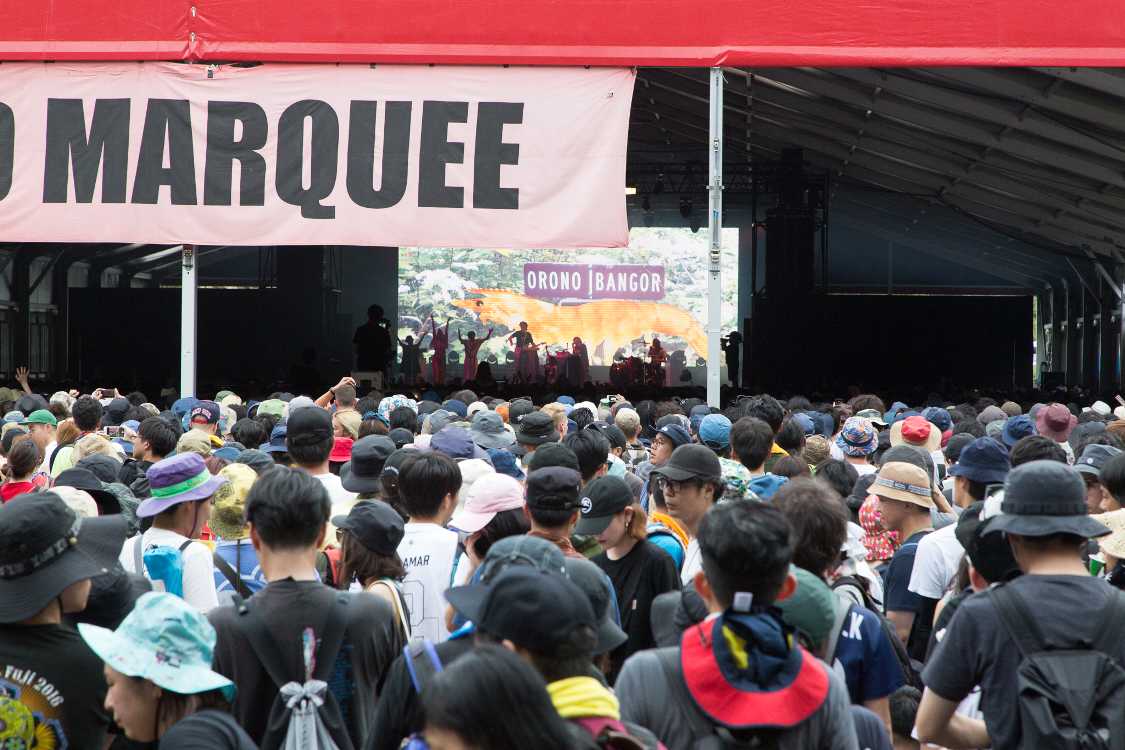 スーパーオーガニズム。