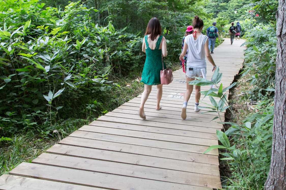 ホワイトステージの横。