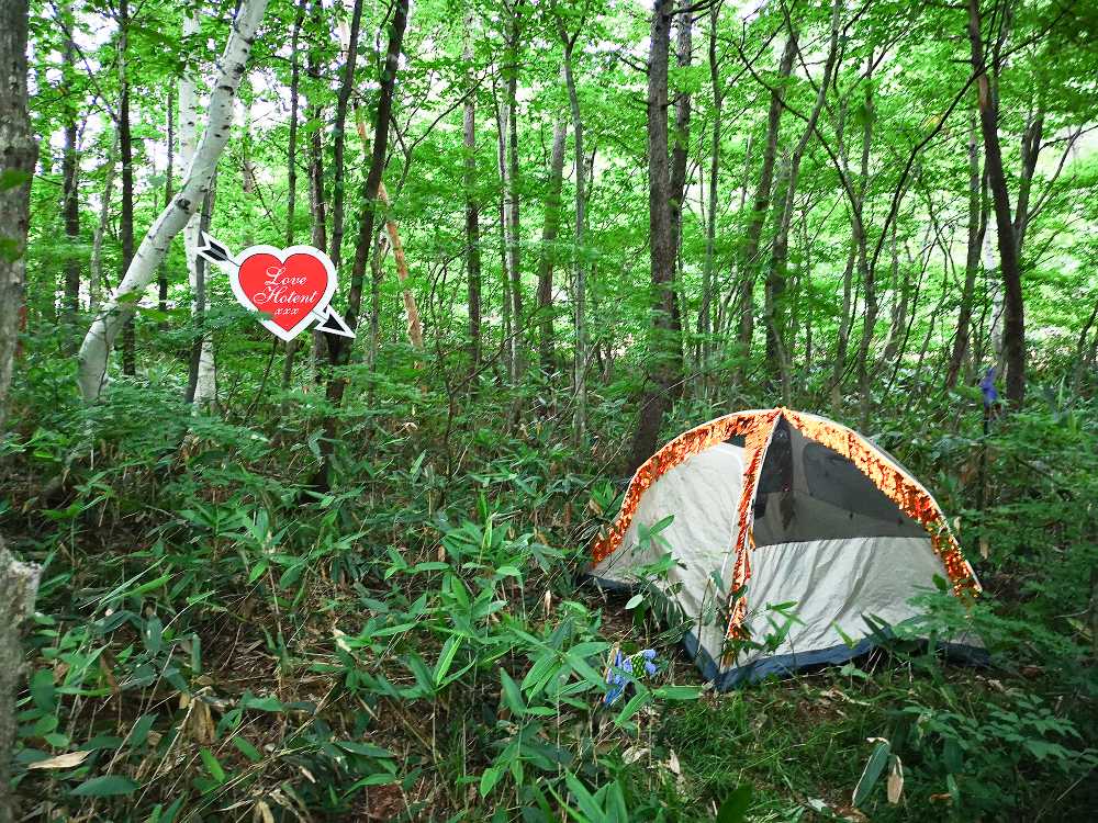 数年前からあるテント。