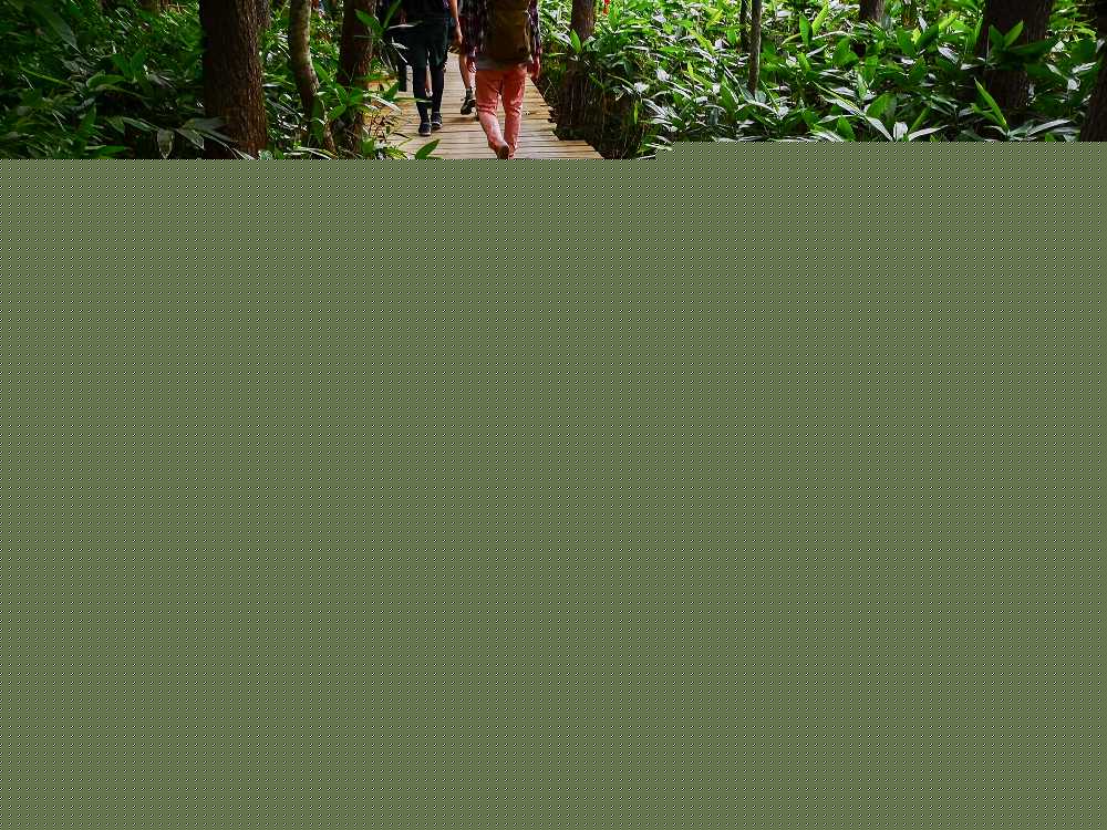 板を21枚使ったレインボーカラー。