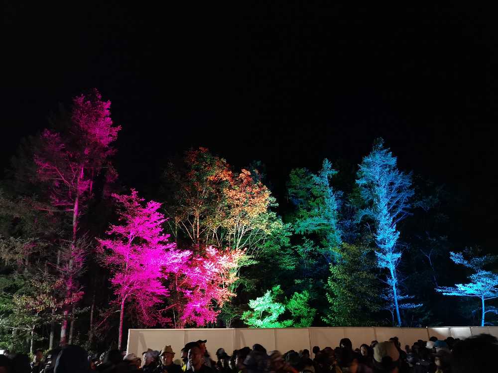 夜は後方の森がライトアップされていました。
