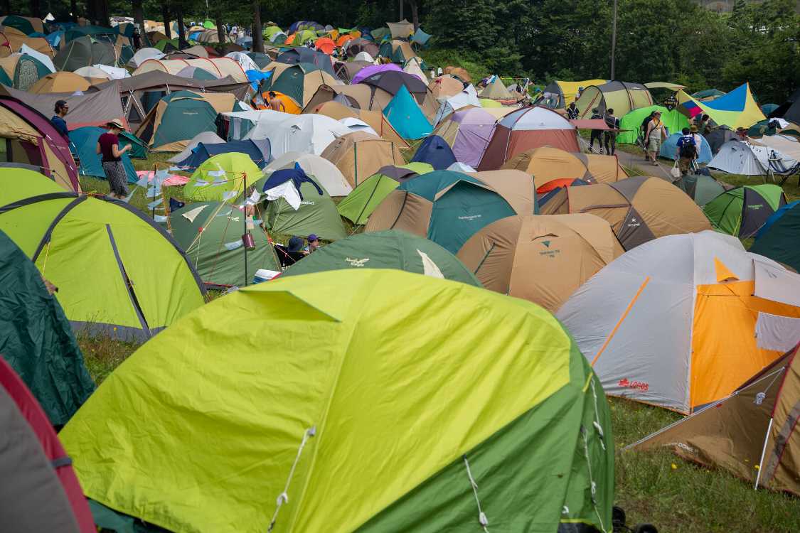 入り口に近い方は密集です。