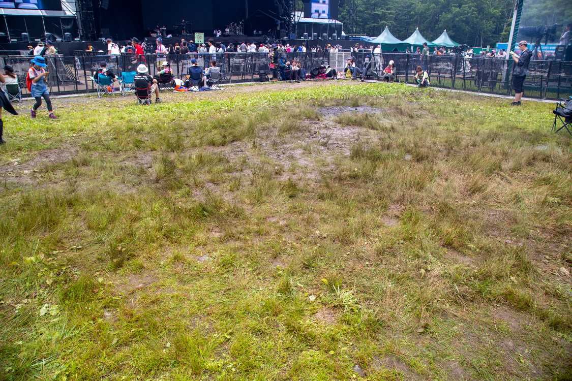 前方の手前。水はけはよくなさそうです。