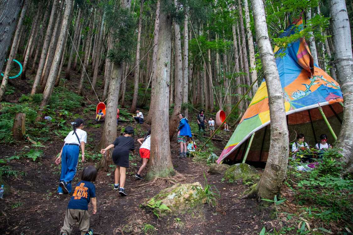 キッズの森の斜面。