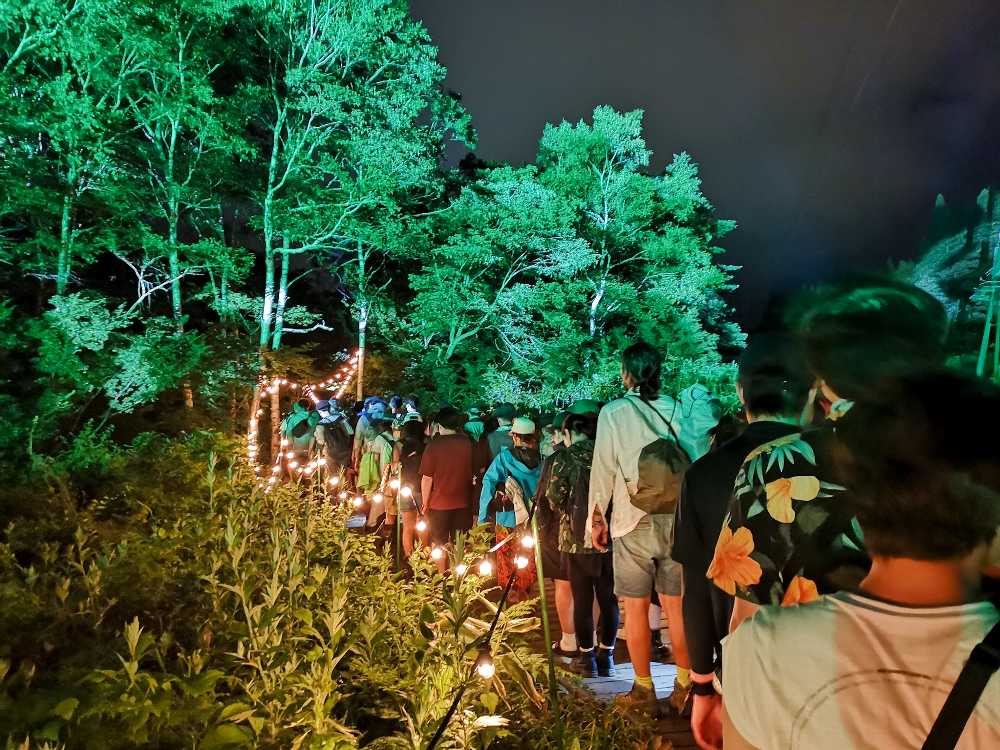 森の中へ入ります。