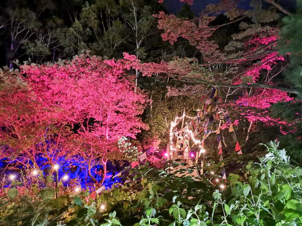 みどり橋を上から。