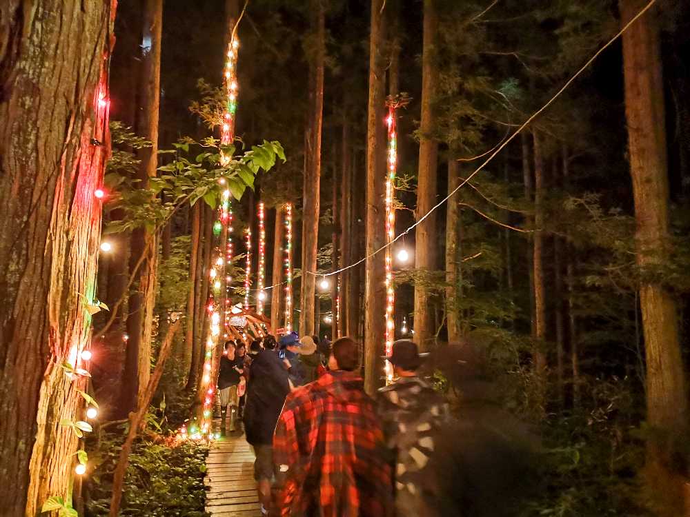 フィールド・オブ・ヘブン近くの電飾。