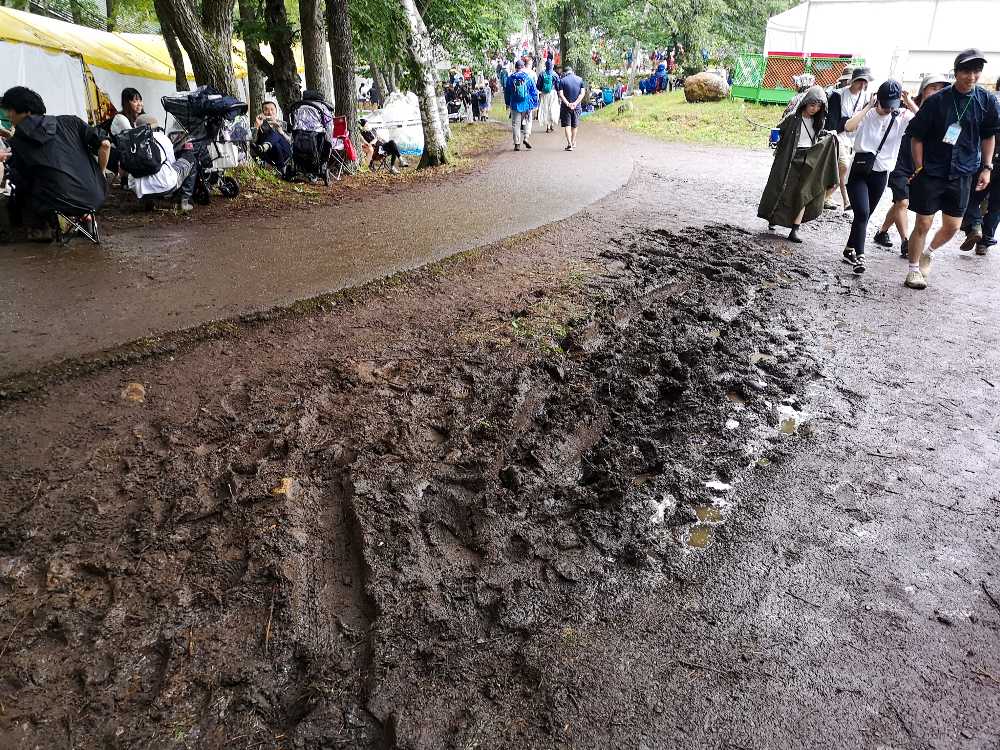 オアシスエリア。夜は見えません。