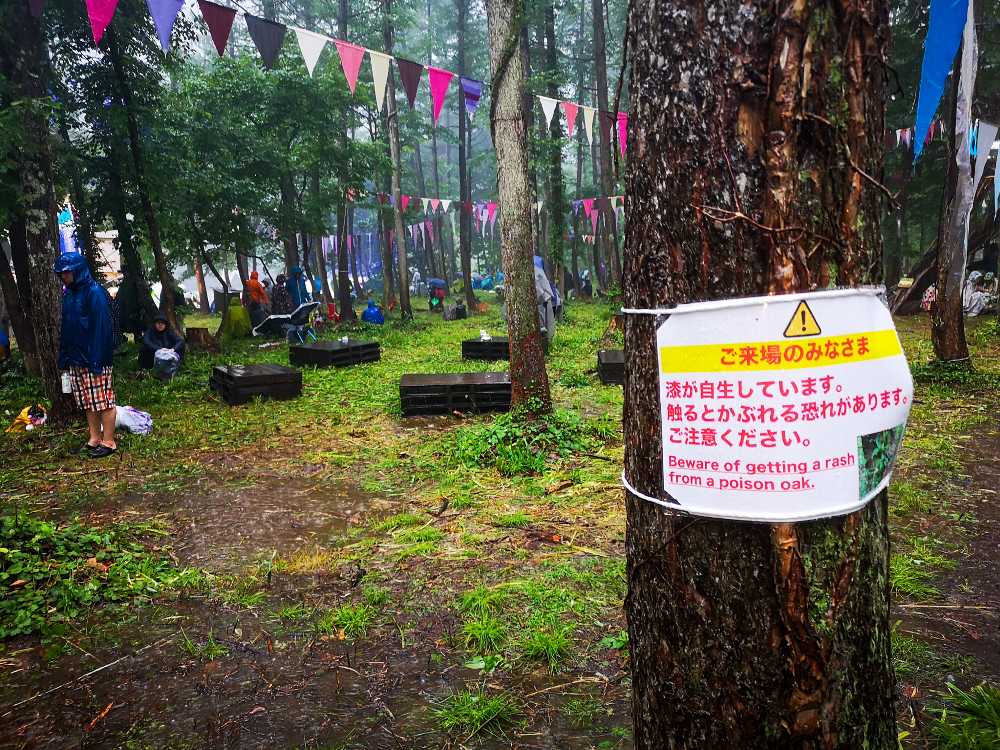 漆に注意の掲示。