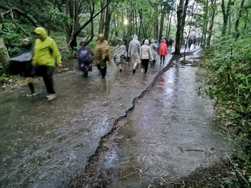 グリーンステージからホワイトステージの導線。夜は見えないので真ん中を歩きます。