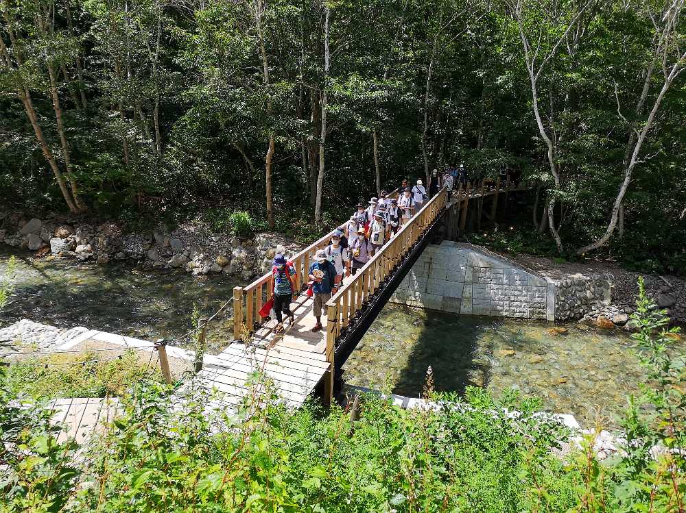導線から見えるみどり橋。橋の基礎もコンクリートで固められています。