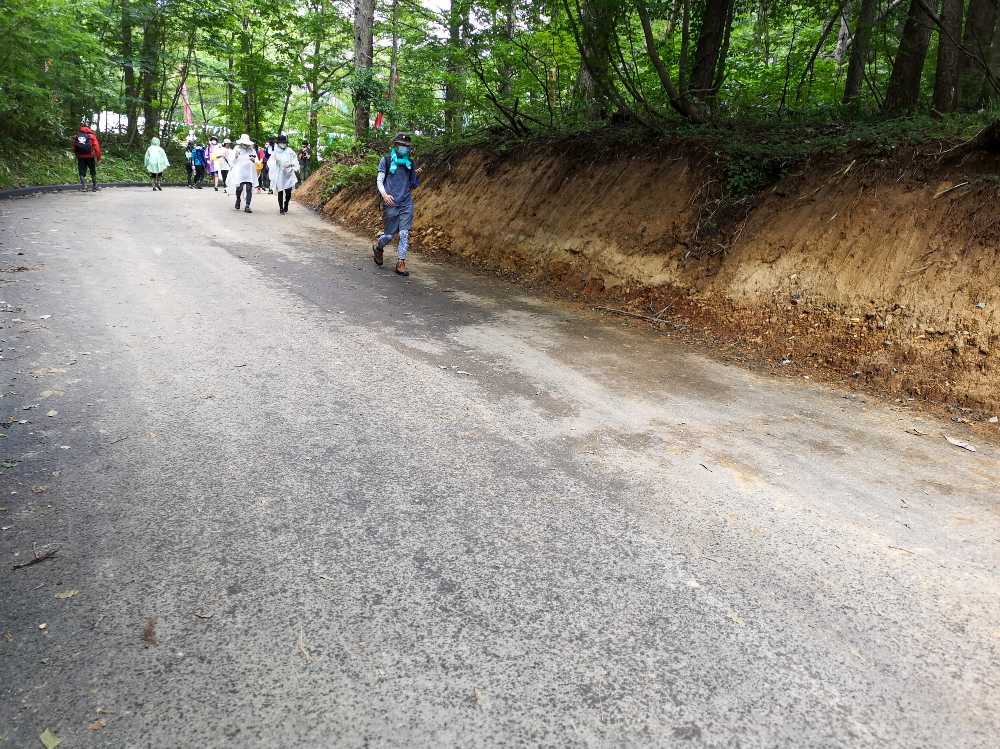 トラックがすれ違えるようにするためか、道幅を拡張しています。