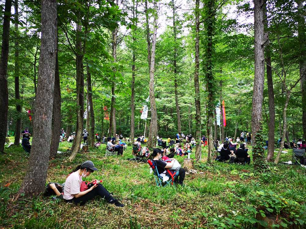 アバロンフィールド付近の森その1。