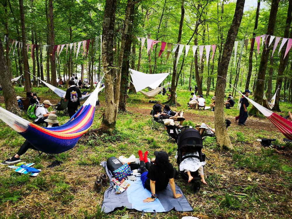 アバロンフィールド付近の森その5。