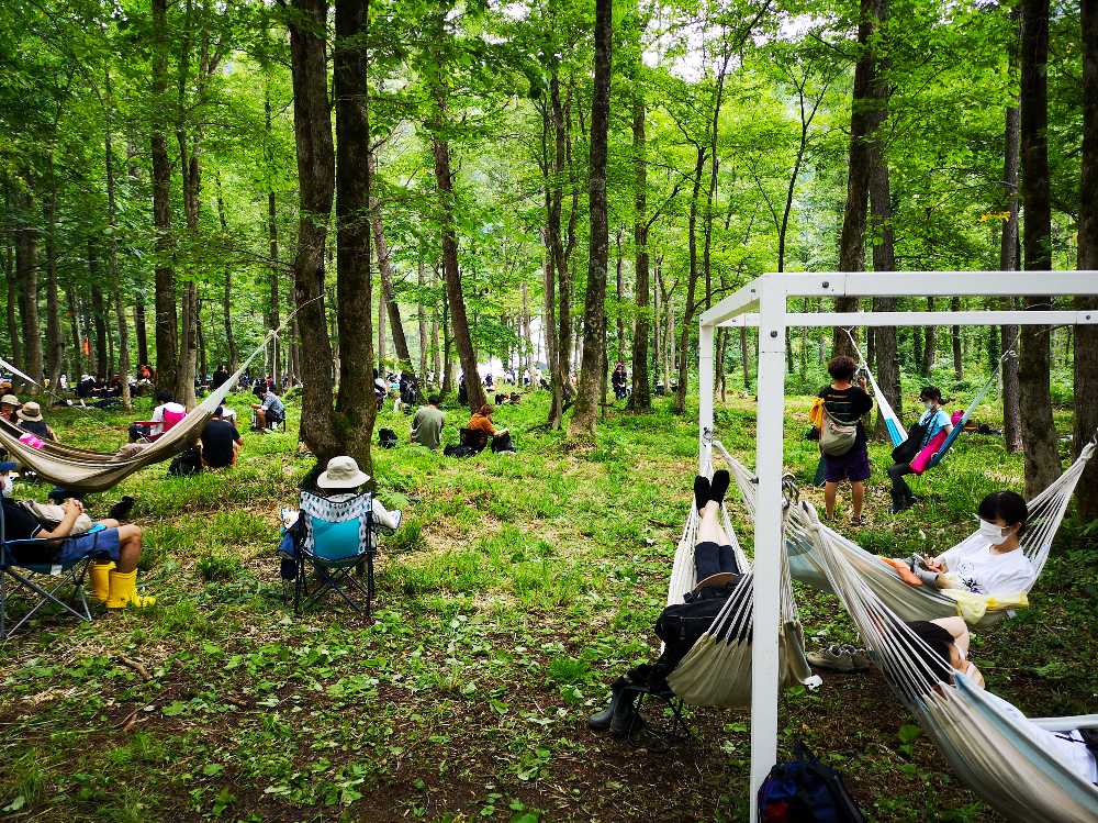 アバロンフィールド付近の森その3。