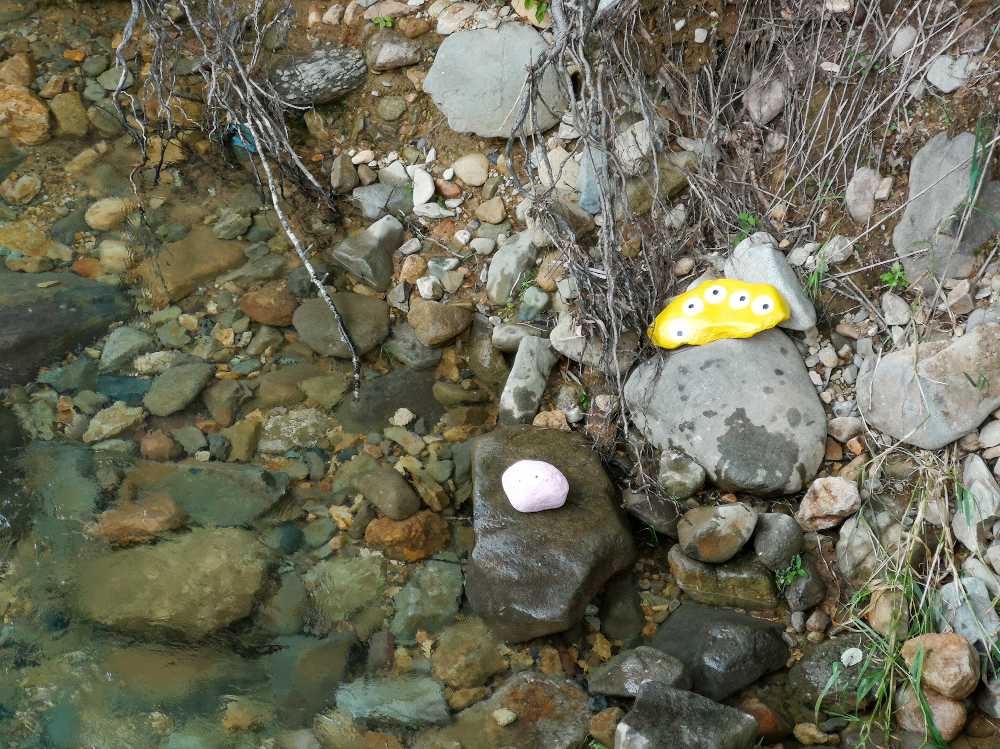 目が5つあります。